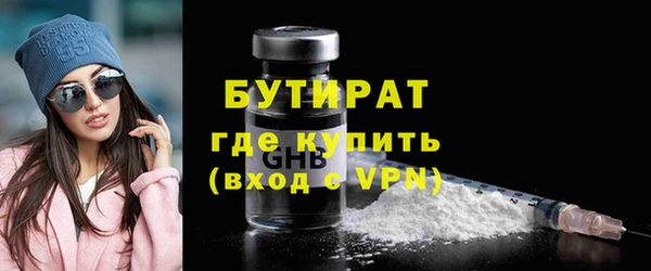 шишки Гусиноозёрск